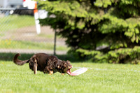 RielVisuals_20260511_172304_SJR_2924