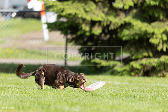 RielVisuals_20260511_172304_SJR_2924