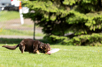 RielVisuals_20260511_172304_SJR_2925