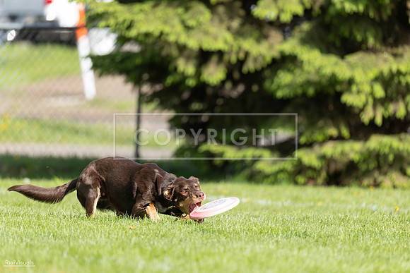 RielVisuals_20260511_172304_SJR_2925