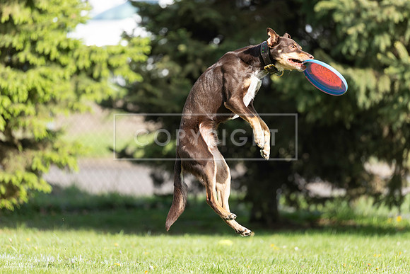 RielVisuals_20260511_172337_SJR_2996