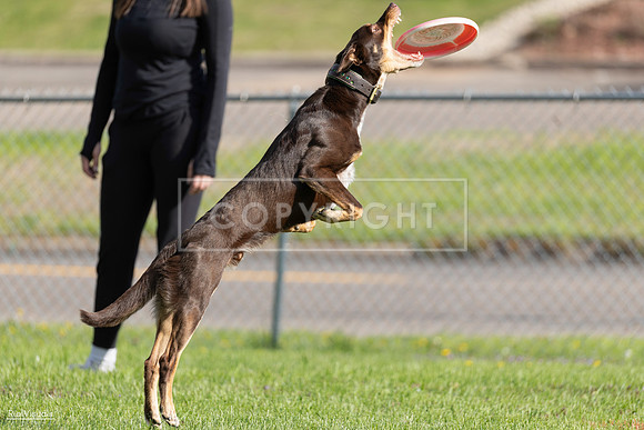 RielVisuals_20260511_172351_SJR_3014