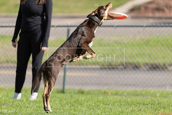 RielVisuals_20260511_172351_SJR_3015