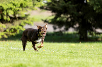 RielVisuals_20260511_172359_SJR_3043A