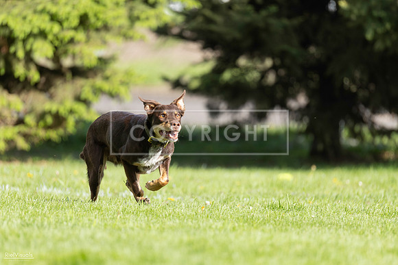 RielVisuals_20260511_172359_SJR_3043A