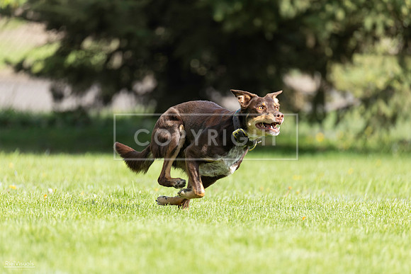 RielVisuals_20260511_172359_SJR_3053