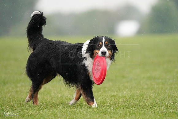 RielVisuals_20240527_104858_SJR01850