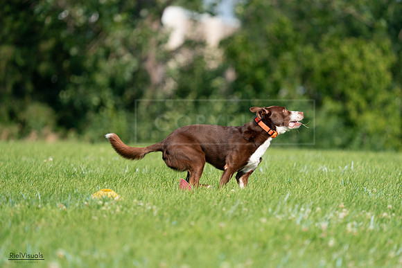 RielVisuals_20240727_100654_SJR08572