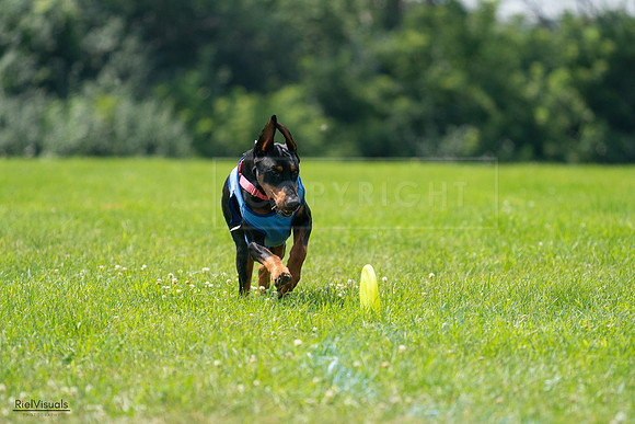 RielVisuals_20240728_123622_SJR04332