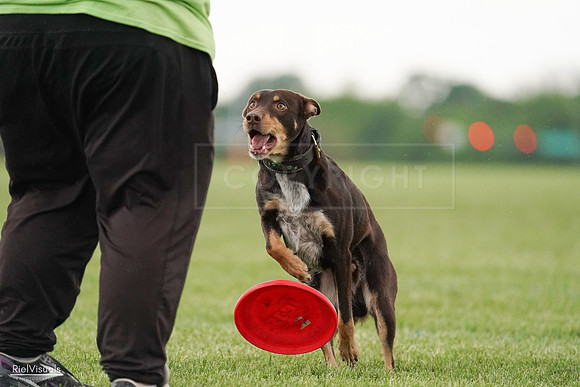 RielVisuals_20240526_095745_SJR01532