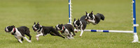 RielVisuals_20240527_142648_SJR02808