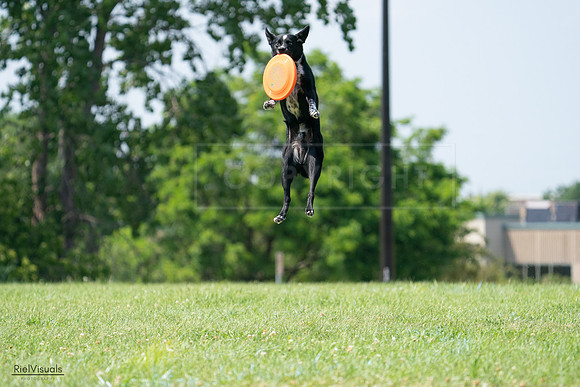RielVisuals_20240728_143722_SJR08686