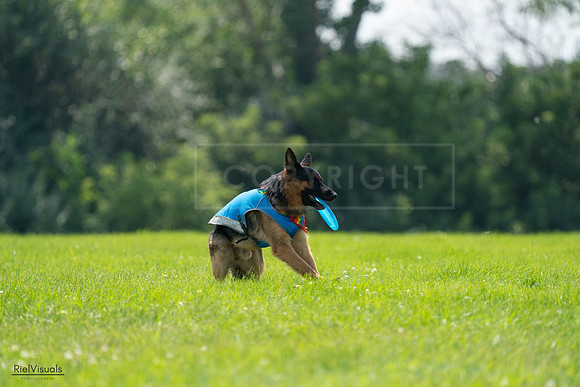 RielVisuals_20240728_135128_SJR07274