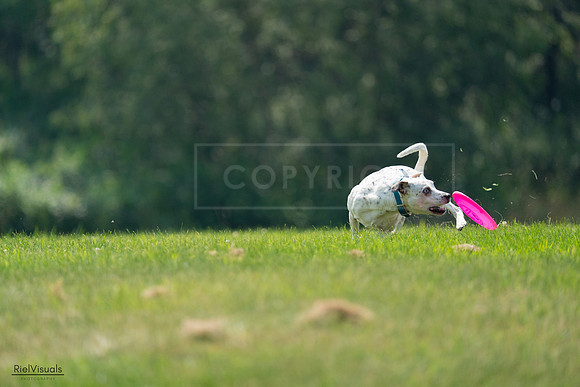 RielVisuals_20240727_120930_SJR04843