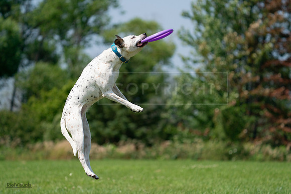 RielVisuals_20240728_120548_SJR02848