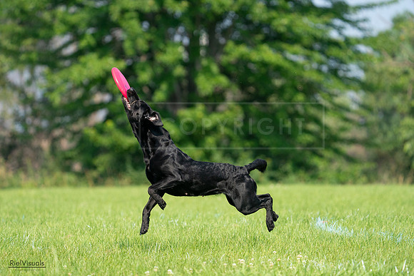 RielVisuals_20240727_100857_SJR08630
