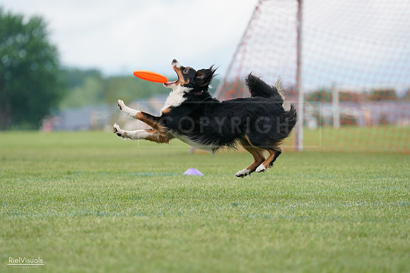 RielVisuals_20240527_142349_SJR02562