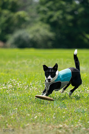 RielVisuals_20240728_132731_SJR06255