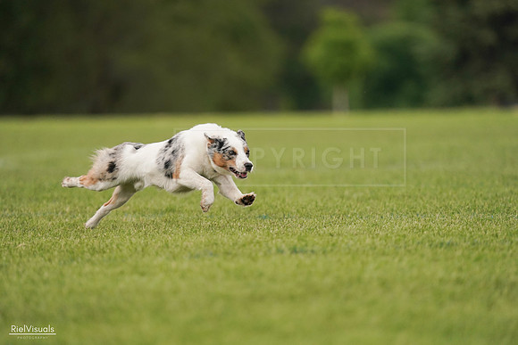 RielVisuals_20240527_140141_SJR01231