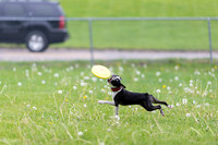 RielVisuals_20260518_172201_SJR_9442