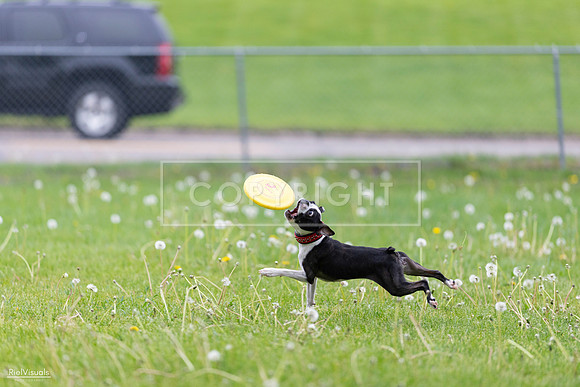RielVisuals_20260518_172201_SJR_9442