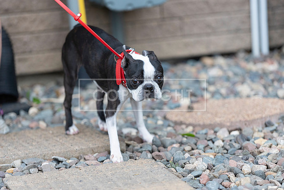RielVisuals_20260518_172051_SJR_9367