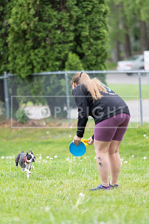 RielVisuals_20260518_172148_SJR_9383