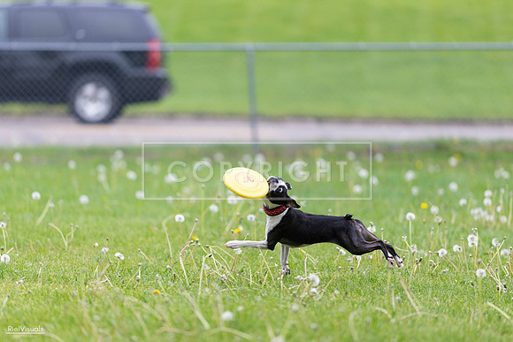 RielVisuals_20260518_172201_SJR_9443