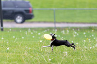 RielVisuals_20260518_172201_SJR_9444