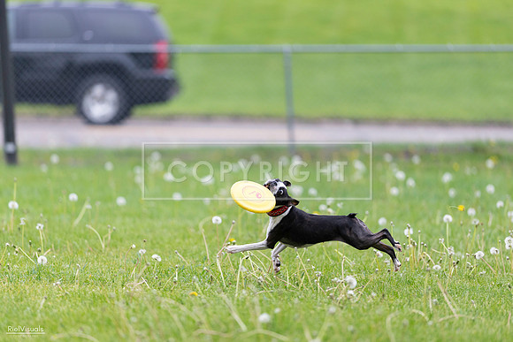 RielVisuals_20260518_172201_SJR_9444