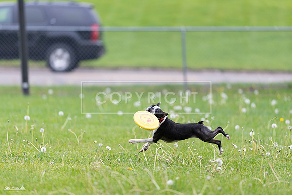 RielVisuals_20260518_172201_SJR_9445
