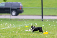 RielVisuals_20260518_172201_SJR_9456