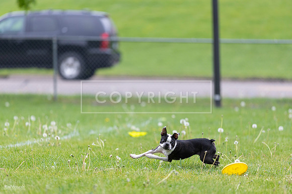 RielVisuals_20260518_172201_SJR_9456