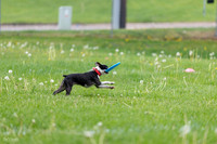 RielVisuals_20260518_172217_SJR_9528