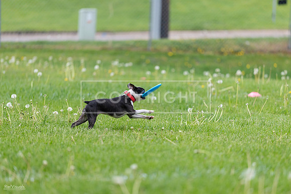 RielVisuals_20260518_172217_SJR_9528