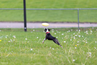 RielVisuals_20260518_172223_SJR_9558