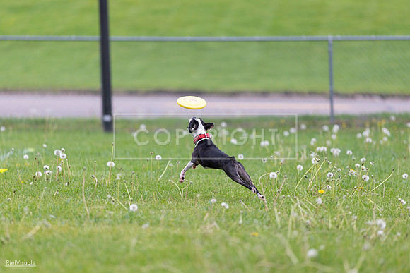 RielVisuals_20260518_172223_SJR_9558