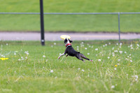 RielVisuals_20260518_172223_SJR_9559