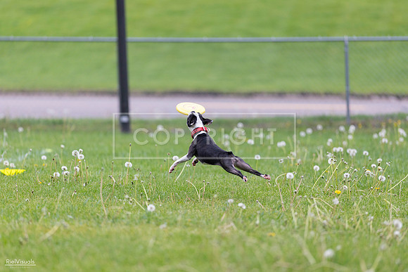 RielVisuals_20260518_172223_SJR_9559