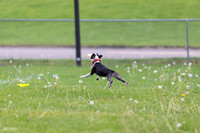 RielVisuals_20260518_172223_SJR_9561