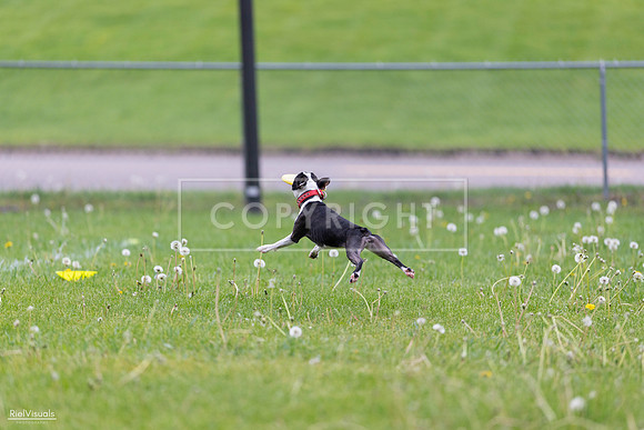 RielVisuals_20260518_172223_SJR_9561