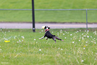 RielVisuals_20260518_172223_SJR_9560