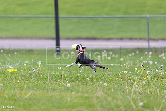 RielVisuals_20260518_172223_SJR_9560