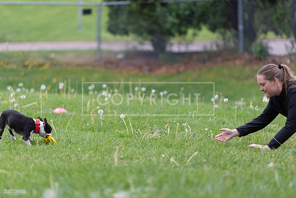 RielVisuals_20260518_172230_SJR_9641