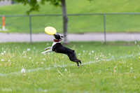 RielVisuals_20260518_172240_SJR_9675