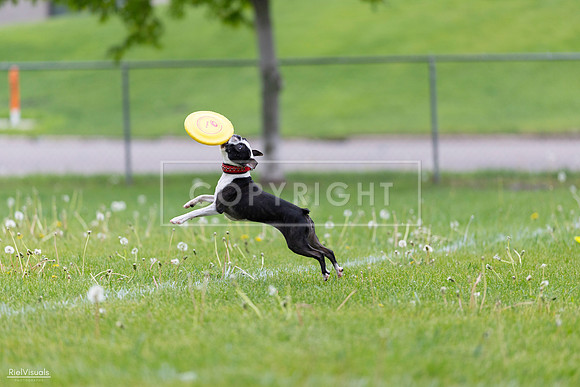RielVisuals_20260518_172240_SJR_9675