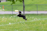 RielVisuals_20260518_172240_SJR_9676