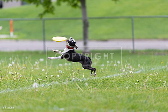 RielVisuals_20260518_172240_SJR_9676