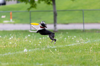 RielVisuals_20260518_172240_SJR_9677