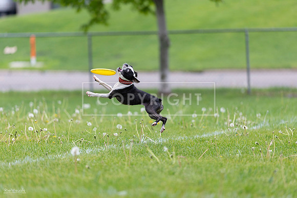 RielVisuals_20260518_172240_SJR_9677